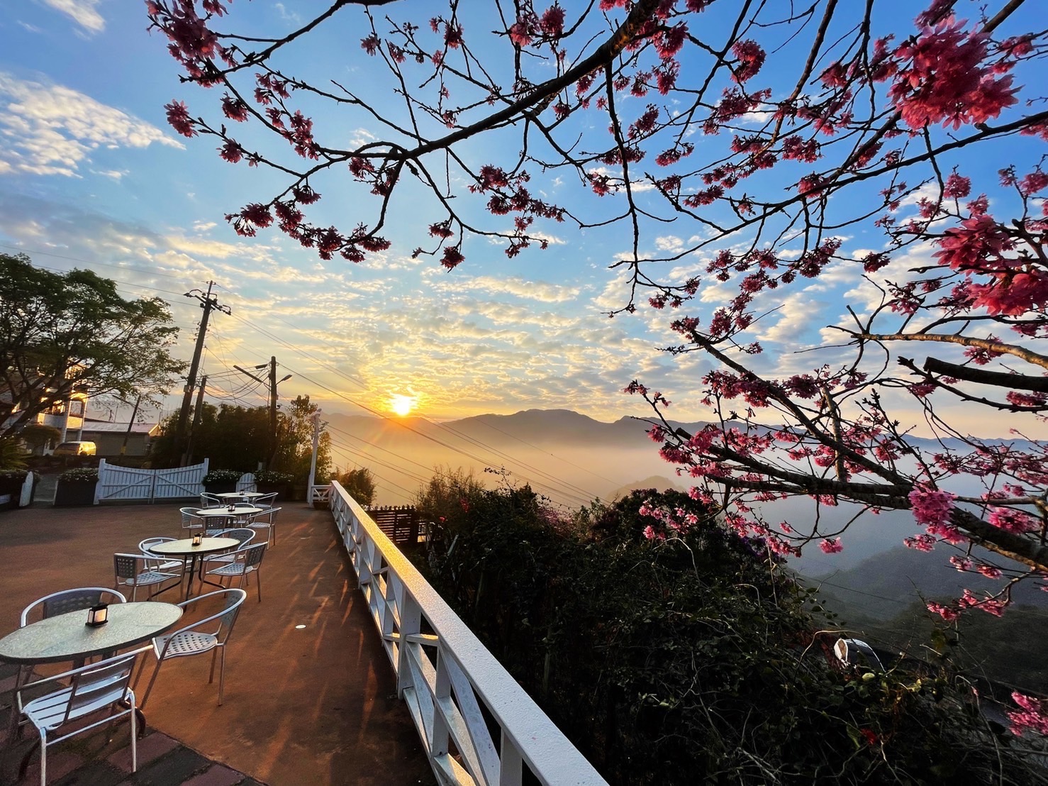 無論是日式風、歐洲莊園風、田園樸實風等等，各家阿里山民宿都可以帶給您不同的住宿體驗